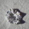 blanc-a-feuilles