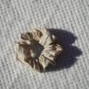 beige-a-fleurs